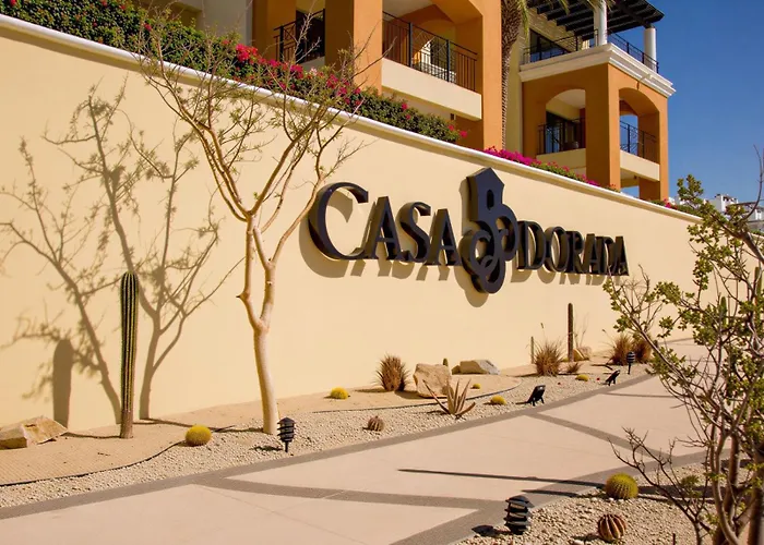 Apartamento Executive Suite- Club Casa Dorada At Medano *